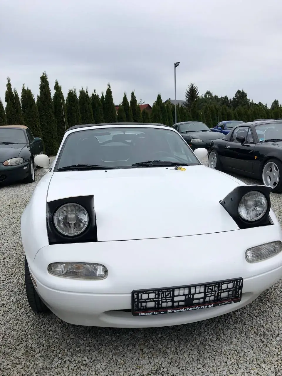 автоподбор в Польше - проверка авто перед покупкой