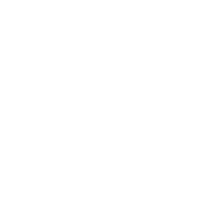 Проверка тормозной системы в гибридах с автоэкспертом