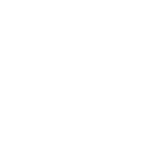 Проверка жидкостей вместе с MKRV motors Выездная диагностика в польша автоподбор польша