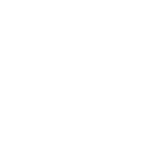 Эндоскопия двигателя Польша выездная диагностика