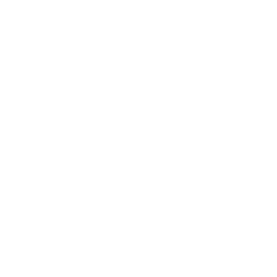 Выездная диагностика авто в польше