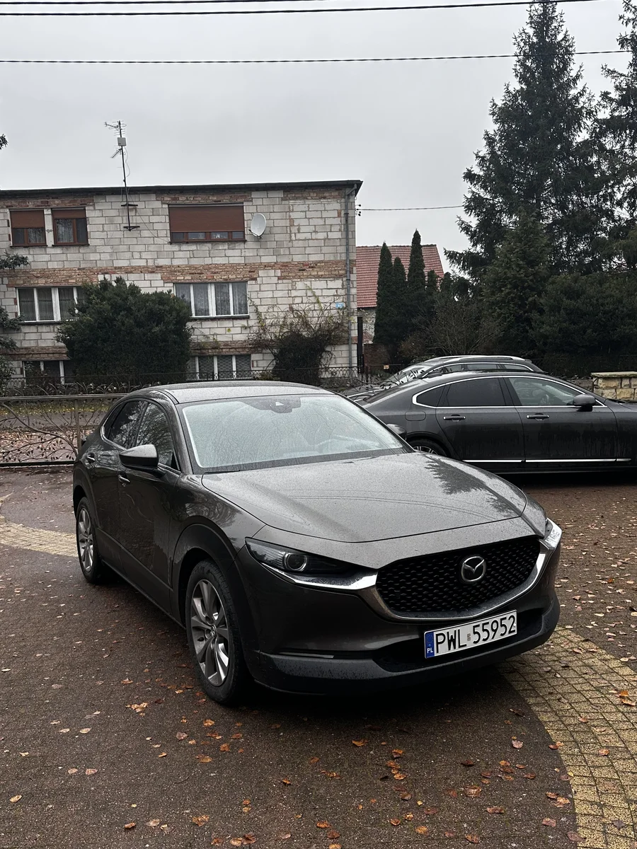 помощь при покупке авто из Европы