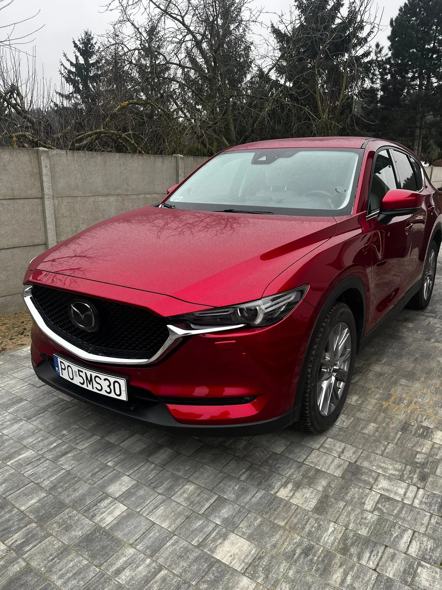 проверка авто на ДТП в Польше